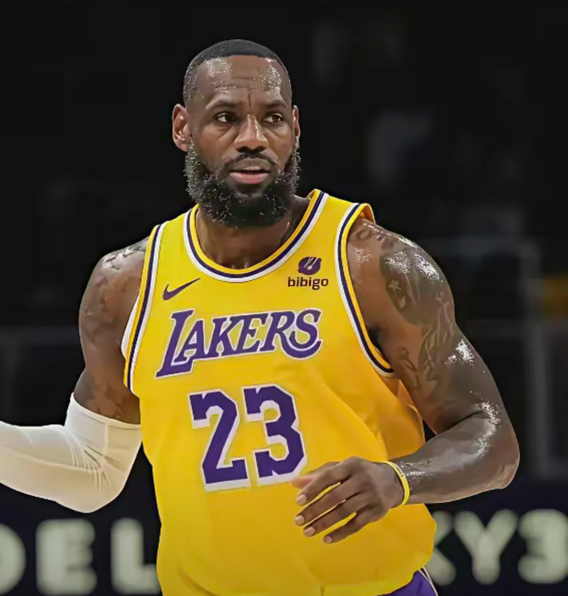 C7娱乐下载-湖人客场不敌猛龙，詹姆斯无奈失利的简单介绍